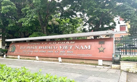 Lãnh đạo Dabaco giảm sở hữu, thu về hơn 15 tỷ đồng