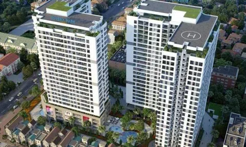 Bị kế toán nhấn mạnh về vấn đề thuế trong báo cáo soát xét bán niên 2025, Đô thị Long Giang (LGL) nói gì?