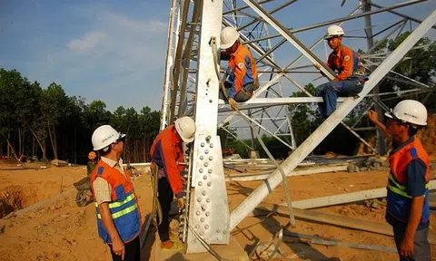 Sông Đà (SJG) chào bán gần 4,1 triệu cổ phiếu Sông Đà 11 (SJE) với giá khởi điểm gấp 3 lần thị giá