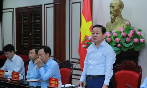 Ninh Bình cần quy hoạch tầm nhìn mới, dựa trên hai trụ cột chuyển đổi xanh và chuyển đổi số