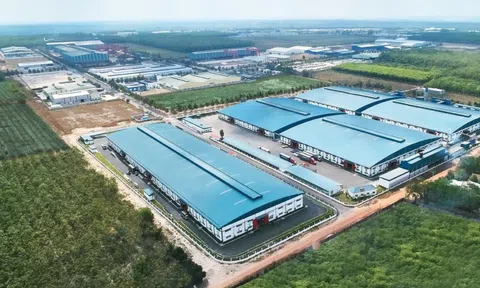 Phát triển kinh tế tư nhân: Khơi thông dòng vốn dài hạn từ nội lực quốc gia