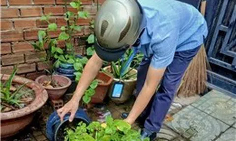 TP Hồ Chí Minh đồng loạt triển khai biện pháp phòng, chống bệnh Chikungunya