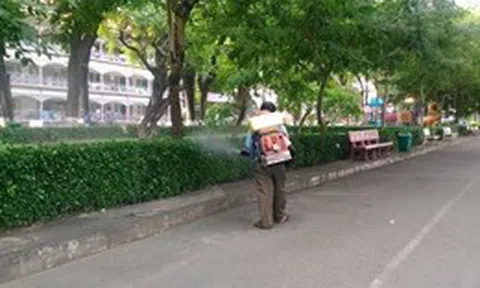 TP Hồ Chí Minh có số ca tử vong do sốt xuất huyết cao nhất khu vực phía Nam