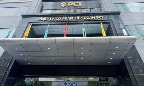 Lãnh đạo cấp cao PC1 đăng ký mua 8 triệu cổ phiếu, dự chi hơn 243 tỷ đồng