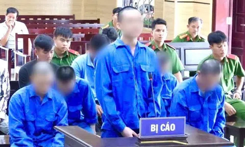 9 bị cáo lĩnh án vì hỗn chiến sau trận đá gà ăn tiền