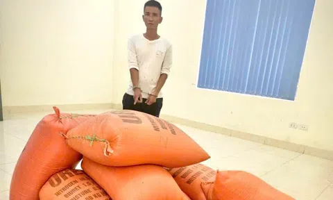 Khởi tố, bắt tạm giam đối tượng đột nhập nhà dân trộm 10 bao lúa