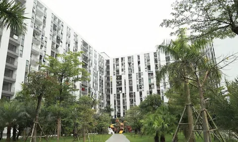 Hà Tĩnh: Tháo gỡ khó khăn, tăng tốc triển khai các dự án nhà ở xã hội