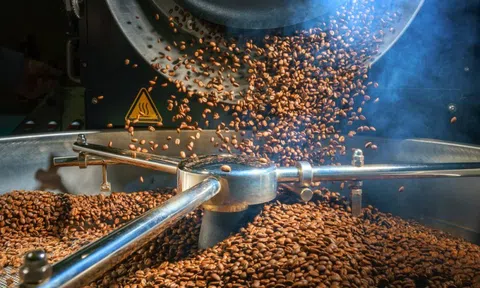 Gia Lai: Khu công nghiệp Nam Pleiku đón dự án chế biến cà phê 700 tỷ đồng