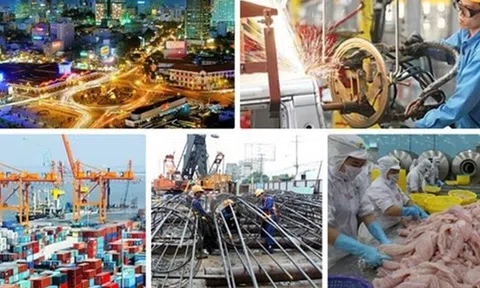 Bổ sung 5 thành viên Hội đồng Tư vấn chính sách
