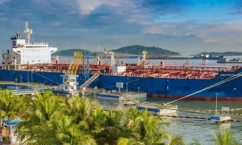Vận tải Xăng dầu Vitaco (VTO) 'chia tay' cổ đông lớn, lợi nhuận lao dốc và biến động thượng tầng
