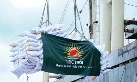 ĐHĐCĐ 2025: Cổ đông Lộc Trời (LTG) không thông qua kế hoạch lỗ, ban lãnh đạo công bố tái cấu trúc sâu rộng