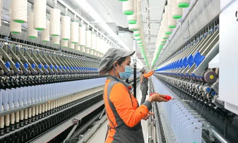 Sợi Thế Kỷ (STK) sắp phát hành gần 43,5 triệu cổ phiếu để trả cổ tức, tỷ lệ 45%