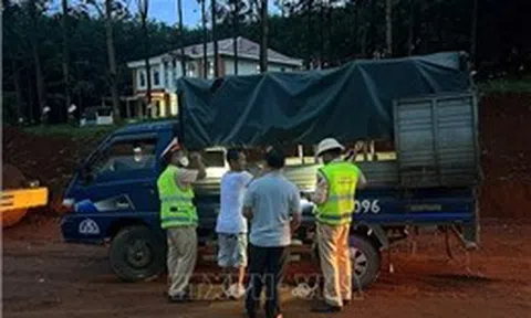 Lâm Đồng ngăn chặn một vụ vận chuyển lợn nghi nhiễm bệnh dịch tả châu Phi