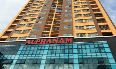 Lãi quý II tăng 138%, Phó Tổng Giám đốc Alphanam E&C (AME) bất ngờ từ nhiệm