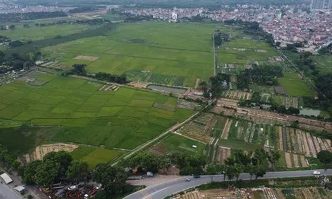 Hướng dẫn các căn cứ để thực hiện thu hồi đất, cho phép chuyển mục đích sử dụng