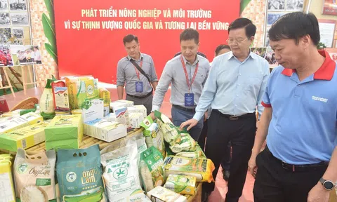 Các gian hàng đã sẵn sàng cho ngày khai mạc Triển lãm