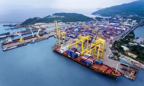 Công ty Đại lý Hàng hải Việt Nam (VSA) sắp trả cổ tức tiền mặt, tỷ lệ 15%
