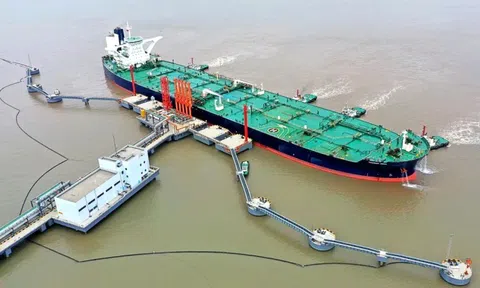 Lợi nhuận giảm 71%, PVT Logistics (PDV) vẫn chi 33 tỷ đồng trả cổ tức tiền mặt