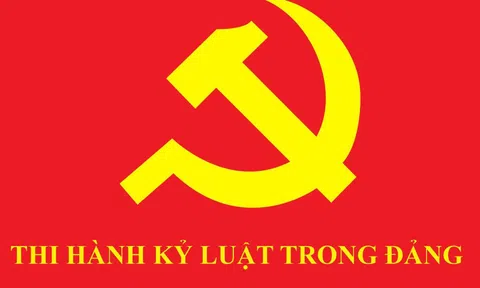 Bộ Chính trị, Ban Bí thư kỷ luật tổ chức đảng, đảng viên vi phạm