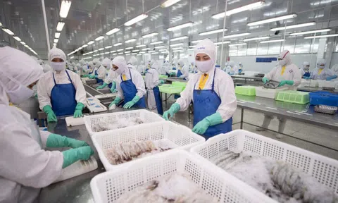 Thực phẩm Sao Ta (FMC) báo doanh thu tháng 8 tăng 32%