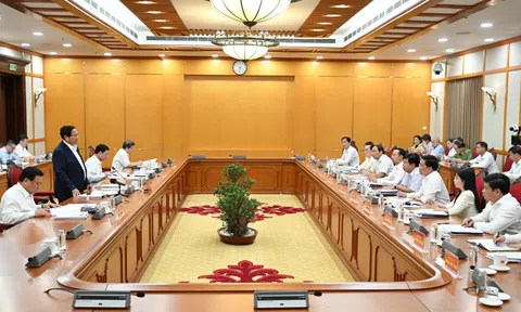 Bộ Chính trị cho ý kiến về công tác chuẩn bị Đại hội Đảng bộ tỉnh An Giang và Lâm Đồng