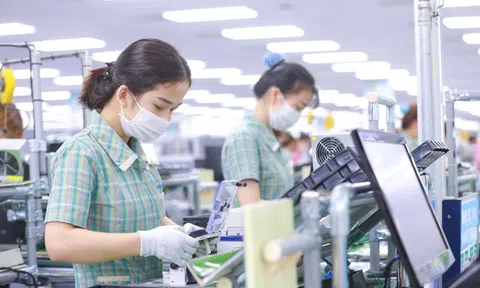 26.200 doanh nghiệp gia nhập thị trường mỗi tháng