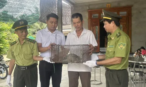 Bất ngờ phát hiện loài động vật quý bò vào vườn nhà lúc sáng sớm