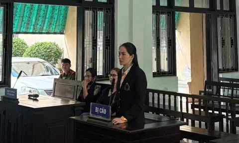 Chiếm đoạt hơn 2,5 tỷ đồng từ chơi hụi, người phụ nữ nhận cái kết đắng