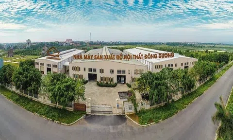 Công ty Thương mại và Xây dựng Đông Dương (DDB) bị phạt do công bố thông tin chậm và sai lệch kết quả lợi nhuận