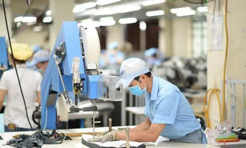 Gần 21.000 doanh nghiệp ra nhập thị trường trong tháng 8/2025