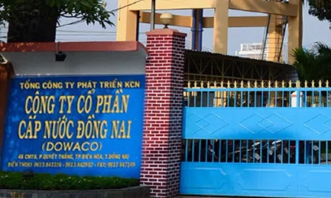 Lãi bán niên thấp nhất trong 6 năm, Cấp nước Đồng Nai (DNW) xin điều chỉnh giảm kế hoạch kinh doanh 2025