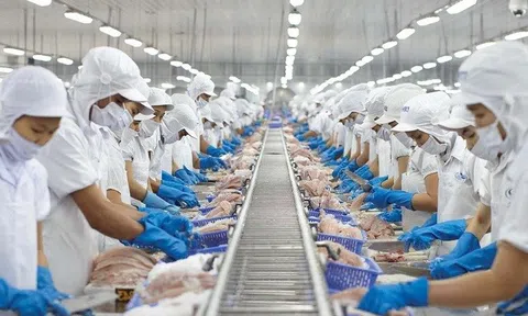 Vĩnh Hoàn bị phạt nặng