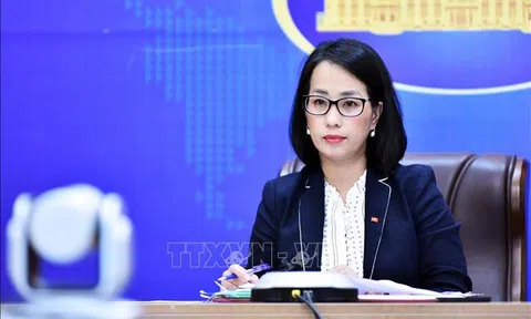 Việt Nam lên án hành vi vi phạm chủ quyền và toàn vẹn lãnh thổ