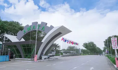 Lợi nhuận tập đoàn mẹ tăng 39%, Amata Việt Nam thoái vốn khỏi hai công ty con với giá 1,68 tỷ Baht