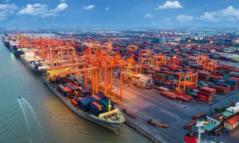 Cảng Hải Phòng (PHP) sắp chi gần 200 tỷ đồng trả cổ tức tiền mặt năm 2024