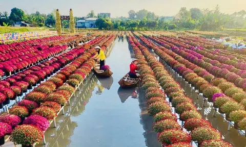 Festival Hoa-Kiểng Sa Đéc 2025: Bứt phá để khẳng định thương hiệu du lịch quốc tế