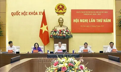 Hội nghị lần thứ Năm, Ban Chấp hành Đảng bộ Quốc hội