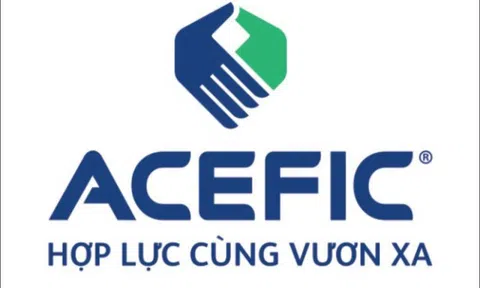 Hệ sinh thái ACE Thái Bình Dương của Chủ tịch Hoàng Việt Hùng nợ hơn 2,4 tỷ đồng tiền bảo hiểm xã hội