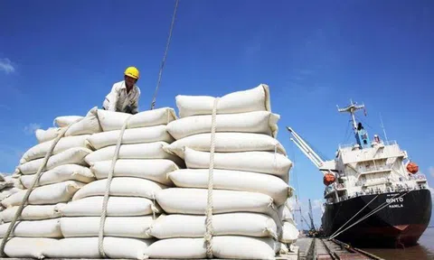 Philippines tạm ngừng nhập khẩu gạo: Bộ Công Thương khuyến nghị doanh nghiệp chủ động thích ứng