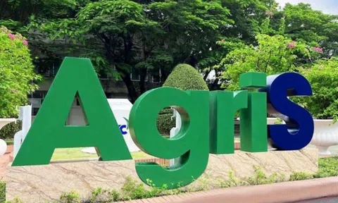 TTC AgriS (SBT) sắp phát hành hơn 40,7 triệu cổ phiếu ESOP chưa đến nửa thị giá