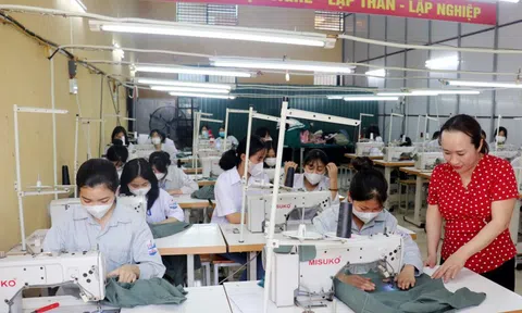 Nghị quyết 71 mở đường cho tự chủ giáo dục nghề nghiệp
