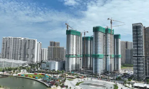 Người trẻ TP.HCM “mở khóa” giấc mơ nhà đẹp: “Tôi không nghĩ lại dễ đến thế”