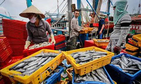 Bộ trưởng Công Thương gửi thư tới Mỹ trước lệnh cấm nhập khẩu hải sản Việt Nam