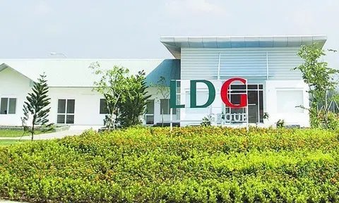 Lỗ hơn 92 tỷ đồng trong 6 tháng đầu năm, Công ty Đầu tư LDG (LDG) thay đổi nhân sự cấp cao
