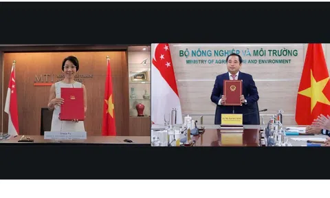 Việt Nam, Singapore hợp tác chặt chẽ trong lĩnh vực thị trường carbon quốc tế