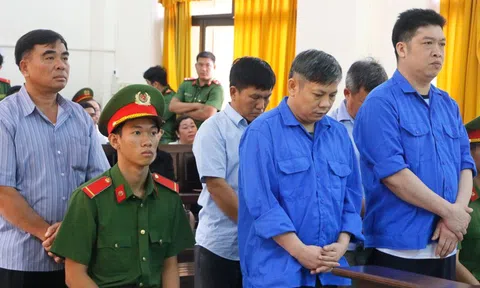 Tuyên án 5 bị cáo trong vụ sai phạm tại dự án Vườn quốc gia U Minh Thượng