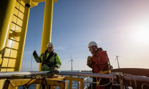Bất định bao trùm dự án điện gió ngoài khơi 1.500 MW