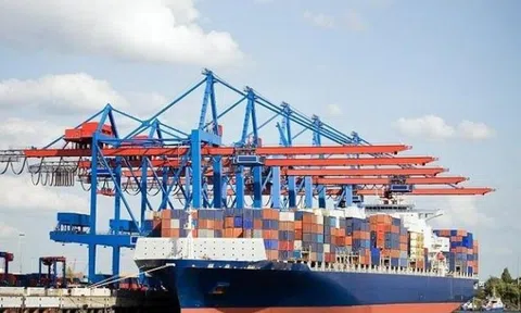 Công ty MHC (MHC) muốn thoái toàn bộ vốn tại công ty con hoạt động trong lĩnh vực dịch vụ vận tải
