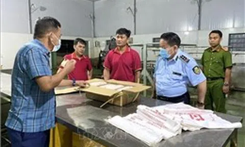 Phát hiện hàng nghìn con lợn đông lạnh chưa rõ nguồn gốc
