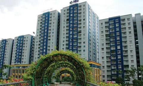 Công ty Năm Bảy Bảy (NBB): muốn đầu tư 2 dự án tổng vốn hơn 10.500 tỷ đồng, thay đổi nhân sự cấp cao